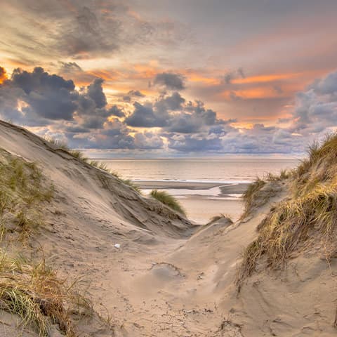 tollenaarendekeizer-uitvaartzorg-1 Tollenaar en de Keizer de laatste zorg